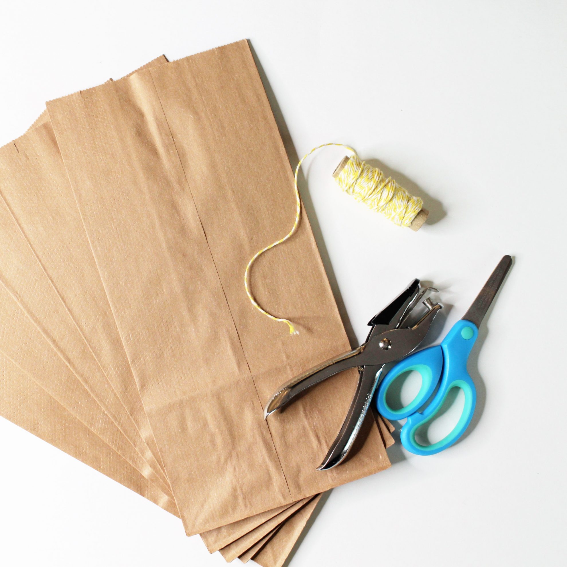 Paper Bag Nature Journal-Craft for Kids-Grow Good Humans