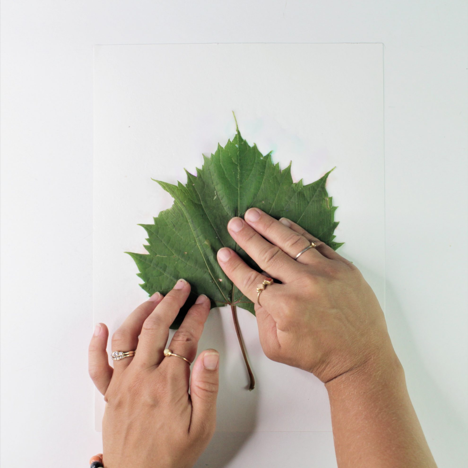 Leaf Prints For Kids - Using Marker! - Grow Good Humans